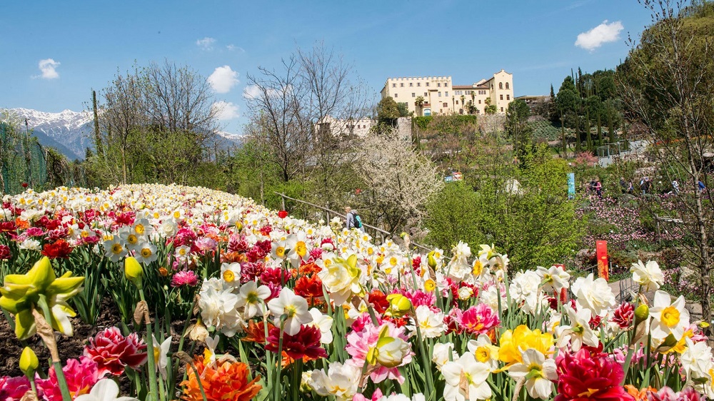 Die Gärten von Schloss Trauttmansdorff©